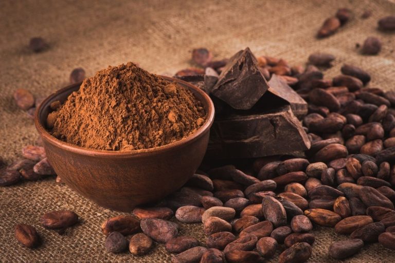 Lire la suite à propos de l’article L’origine du chocolat : un voyage aux racines du cacao