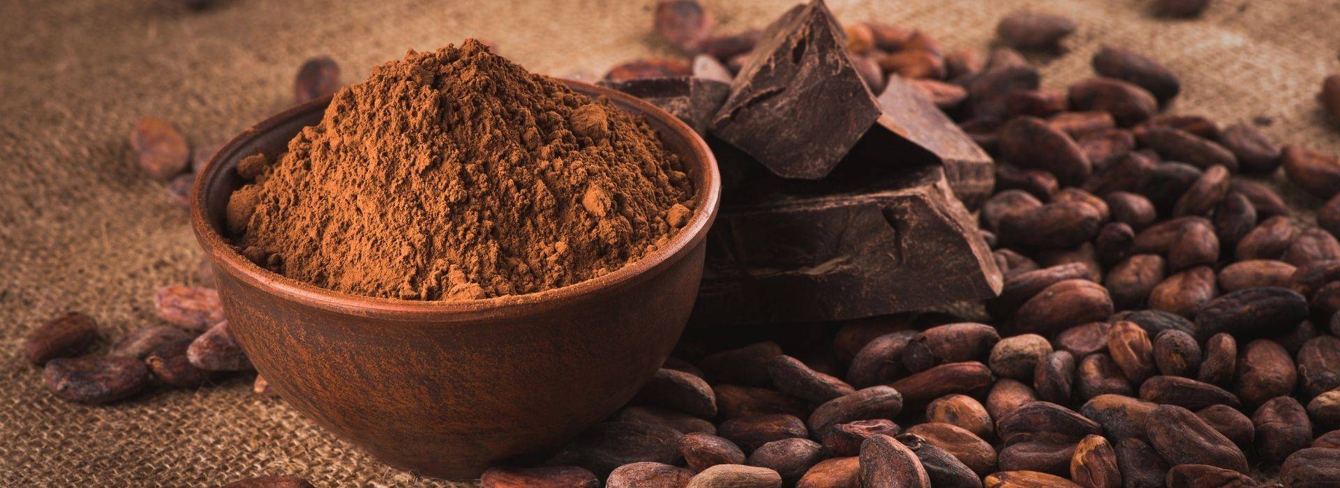 histoire du chocolat cacao fève de cacao chocolat noir
